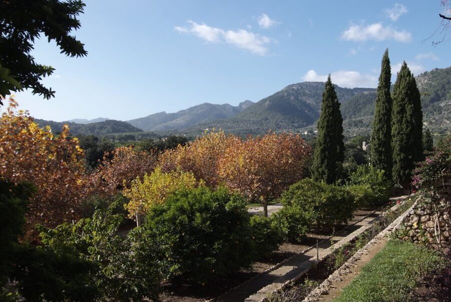 Mallorca: Campanet Caves Entry Ticket - Who This Experience Fits Best (and Who Might Want Something Else)