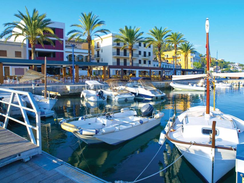 Mallorca: Catamaran Coastal Cruise with Lunch - Underwater Windows, Seats, Music, and Two Bars