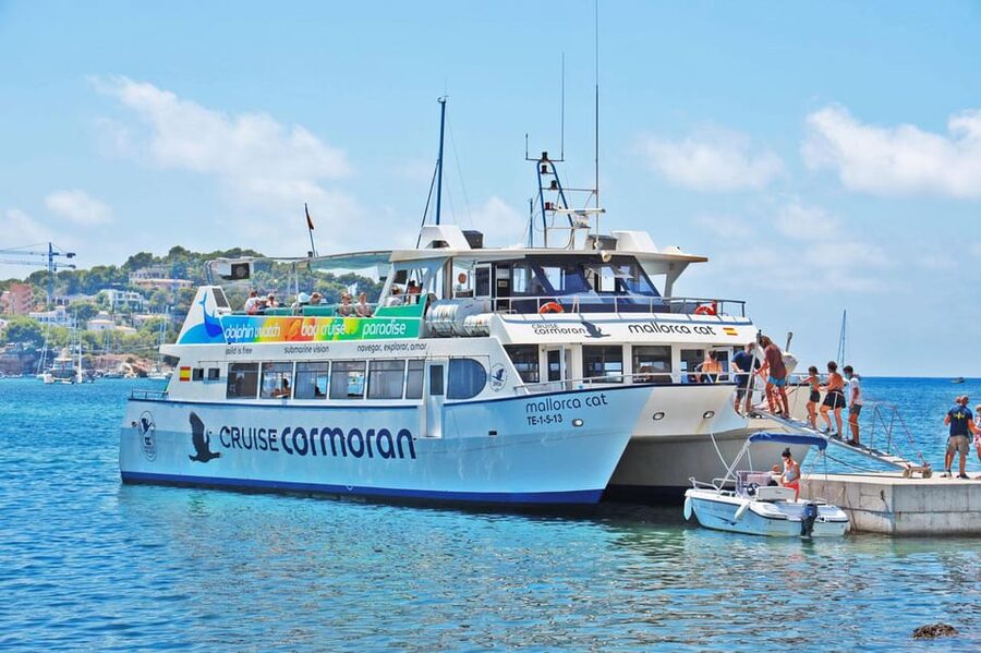 Mallorca: Catamaran Coastal Cruise with Lunch - Port Andratx in About 40 Minutes: Pretty Marina, Tight Timing