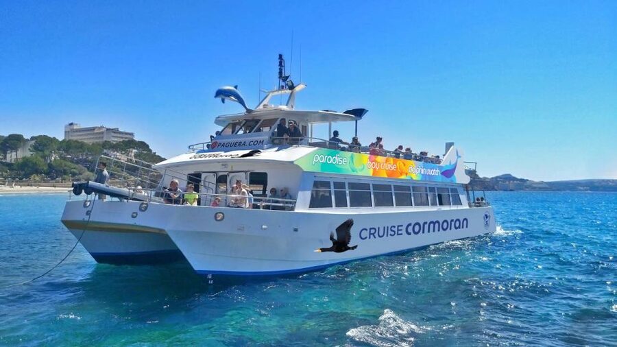 Mallorca: Catamaran Coastal Cruise with Lunch - What to Bring, and How to Avoid Small Day-Of Annoyances
