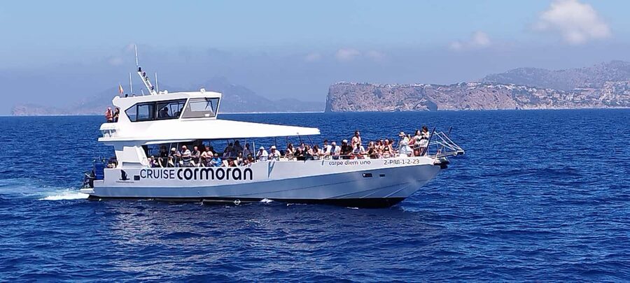 Mallorca: Catamaran Coastal Cruise with Lunch - Who This Catamaran Cruise Is Best For