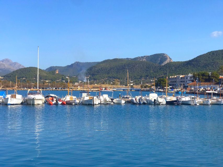 Mallorca: Catamaran Coastal Cruise with Lunch - Cala Egos: Where the Swim and Snorkel Time Makes the Trip