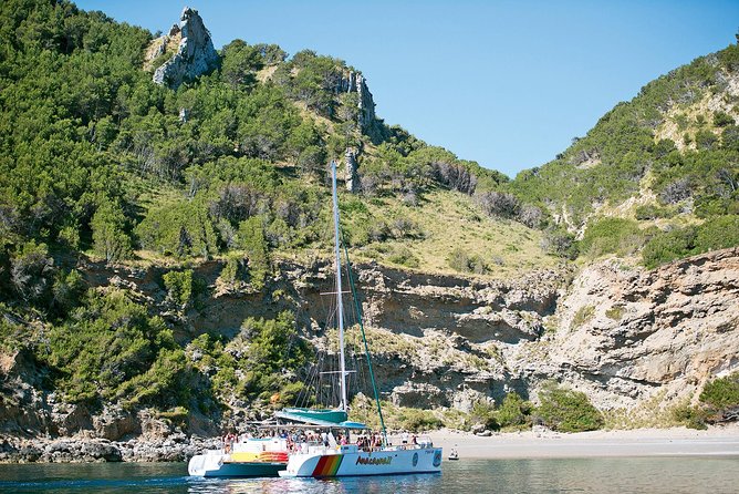 Mallorca Catamaran Cruise with Scenic Views and BBQ Lunch - Stop 2: Coll Baix cove for swimming and sunbathing
