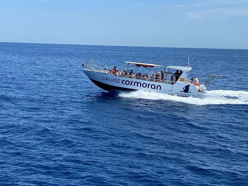 Mallorca: Caves, Cliffs, and Coves Boat Trip - What the 2.5-Hour Cruise Covers Along Mallorca’s Southwest Coast