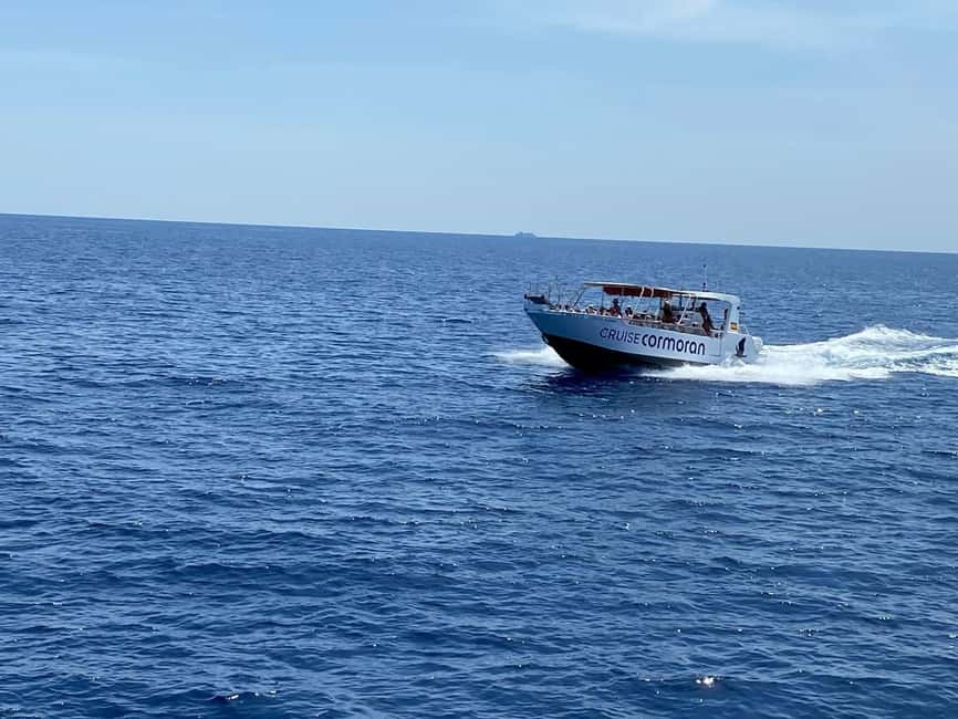 Mallorca: Caves, Cliffs, and Coves Boat Trip - Practical Tips for a Smooth Boarding Day