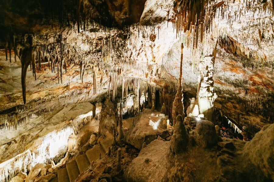 Mallorca: Caves of Drach Day Trip & Optional Caves of Hams - What makes this tour good value for $62