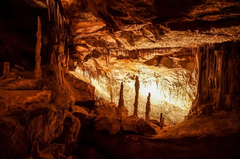 Mallorca: Caves of Drach Tour from the North with Boat Trip - Caves of Drach and Lake Martel Music: Why This Combo Works