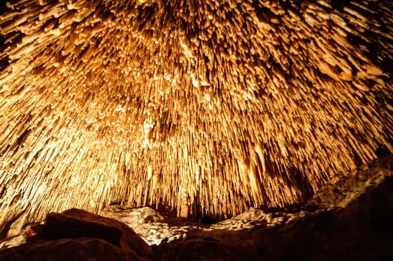 Mallorca: Caves of Drach Tour from the North with Boat Trip - North Mallorca Pickup and the Coach Ride to Manacor