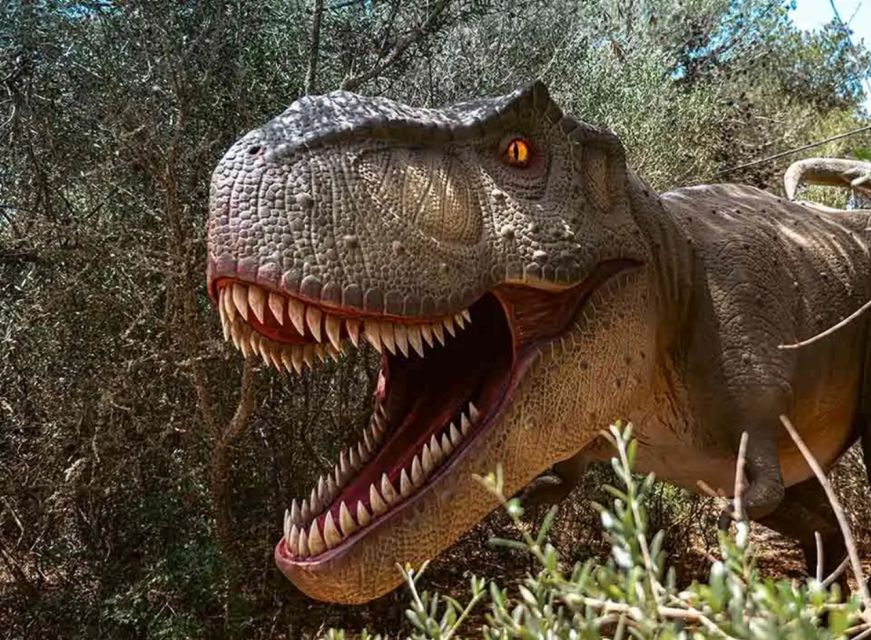 Mallorca: Caves of Hams and Dinosaurland Ticket with Pickup - Key things to know before you go