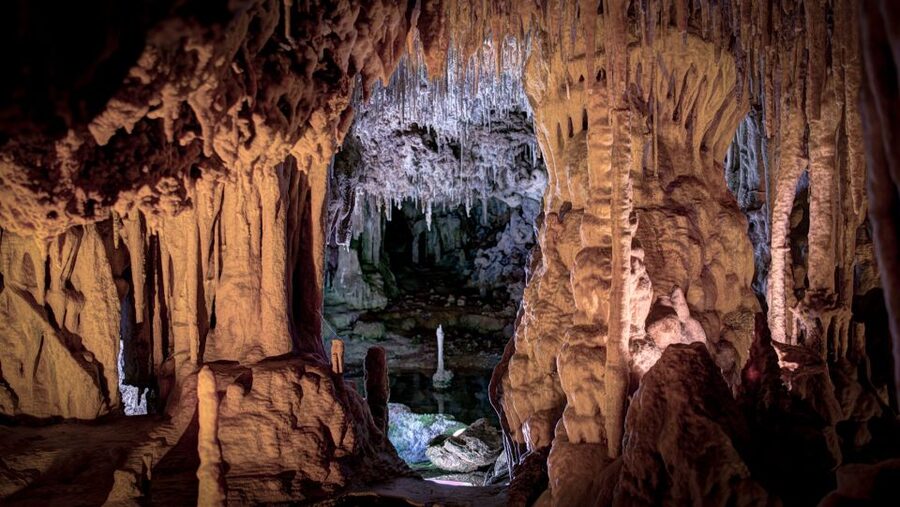 Mallorca: Caves of Hams and Dinosaurland Ticket with Pickup - Into the Caves of Hams: Cueva Redonda, hook-like formations, underground lake