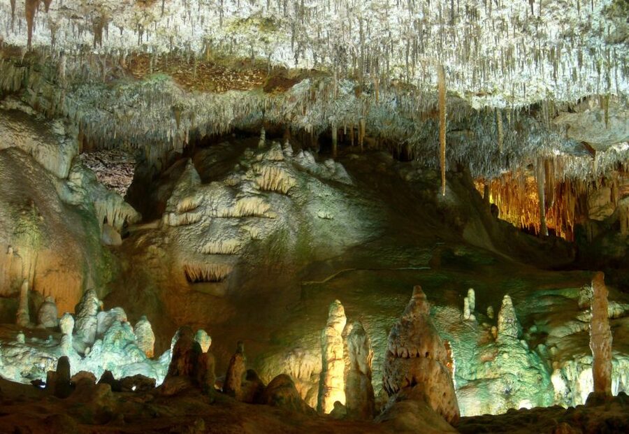Mallorca: Caves of Hams and Dinosaurland Ticket with Pickup - Dinosaurland next to the caves: about an hour of self-guided dinosaur fun