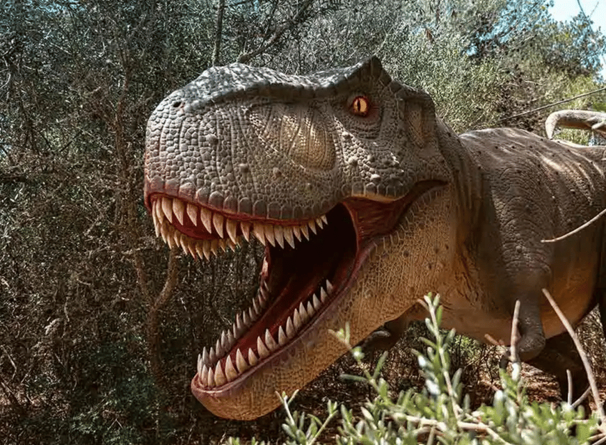 Mallorca: Caves of Hams and Dinosaurland Ticket with Pickup - Should you book the Caves of Hams and Dinosaurland ticket with pickup?