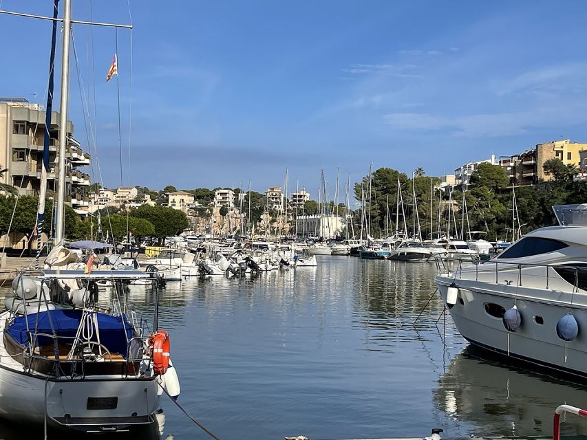 Mallorca: Caves of Hams Entry Ticket with Transportation - Price and value: what $58 really buys you