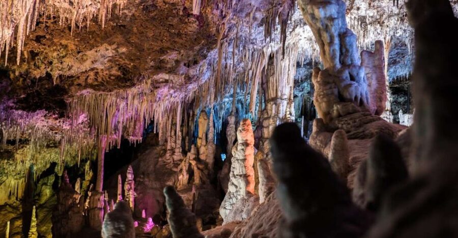 Mallorca: Day Trip to Caves of Hams & Optional Dinosaurland - Key things to know before you go