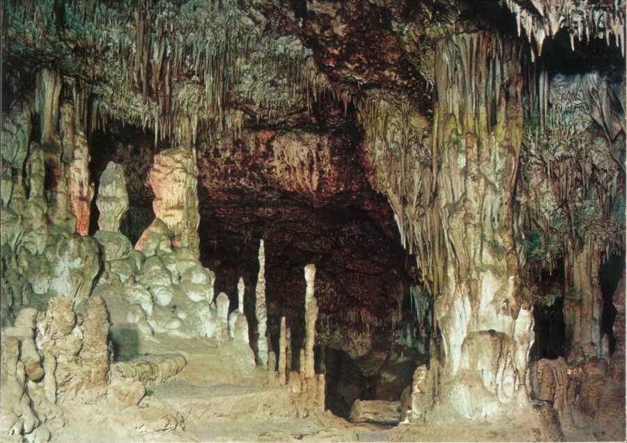 Mallorca: Day Trip to Caves of Hams & Optional Dinosaurland - Price and value: what $47 buys you (and what it doesn’t)