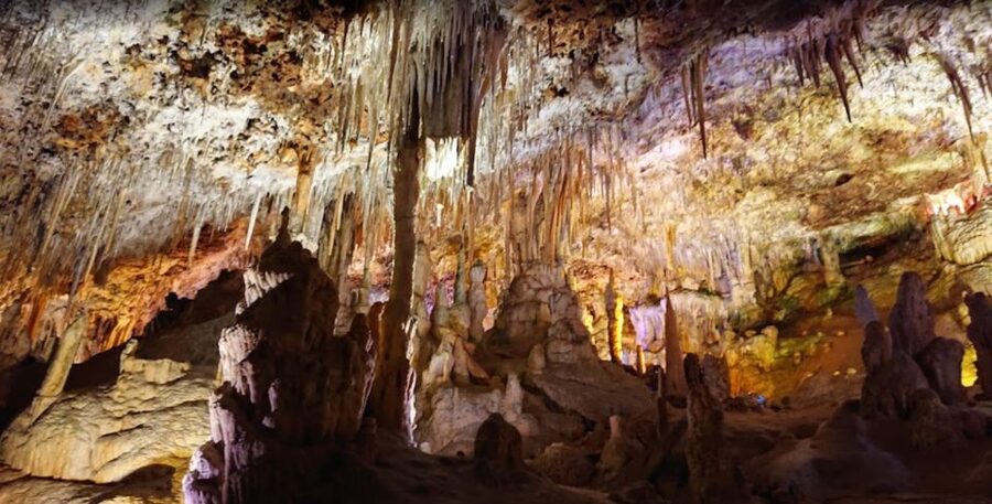 Mallorca: Day Trip to Caves of Hams & Optional Dinosaurland - Practical tips to make your day smoother
