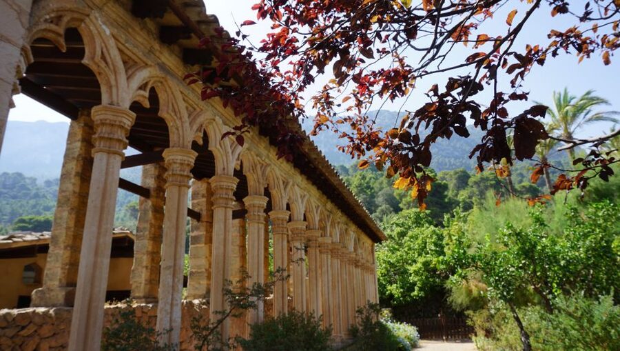 Mallorca: Day Trip to Hidden Gems of Tramuntana with Lunch - What the 6-Hour Format Does Well, and Where It Has Limits