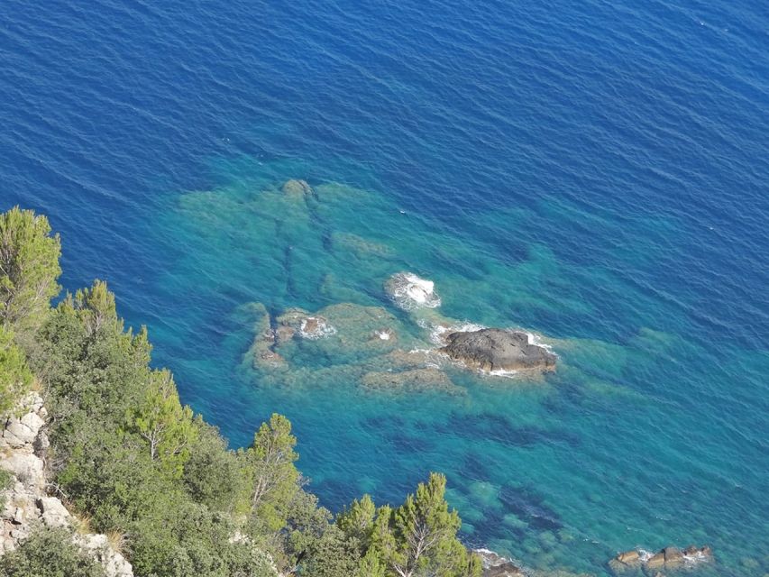 Mallorca: Day Trip to Hidden Gems of Tramuntana with Lunch - Price and Value: What You’re Getting for About $147