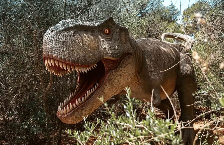 Mallorca: Dinosaurland Park, Hams Caves & Porto Cristo Tour - Why this Mallorca day trip works: dinosaurs, caves, and beach time