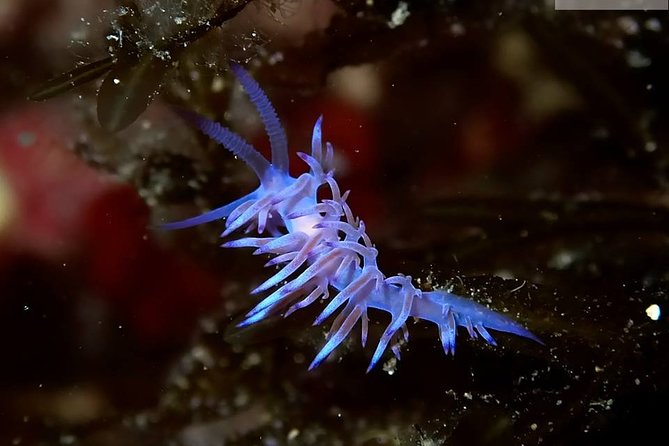 Mallorca: Discover Scuba Diving from the boat - Meeting point and timing: what “2:00 pm start” means for your day