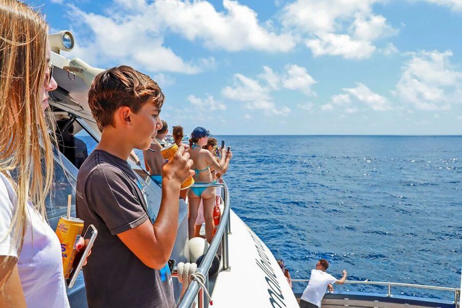 Mallorca: Dolphin Watching Cruise - Who this cruise suits best (and who should skip it)