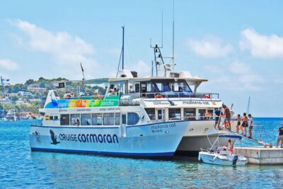 Dolphin Watching Cruise
