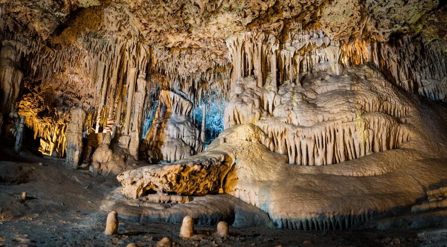 Mallorca: Drach and Hams Caves, and Porto Cristo Day Tour - Price and Value: What You Actually Get for Around $93