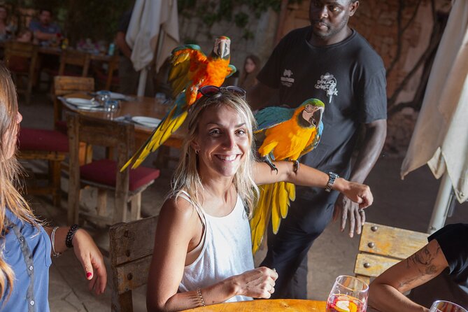 Mallorca Evening Tour: Horseback Riding, Dinner and Dance - BBQ dinner and sangria: good value, simple but satisfying