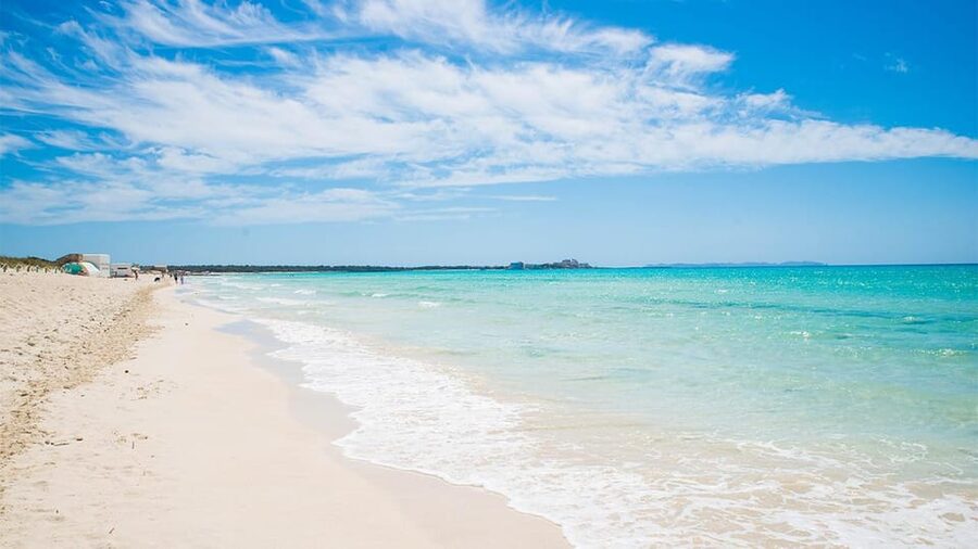 Mallorca Experinence: Es Trenc con Paddlesurf y Snorkel - Key Highlights You’ll Feel on the Water