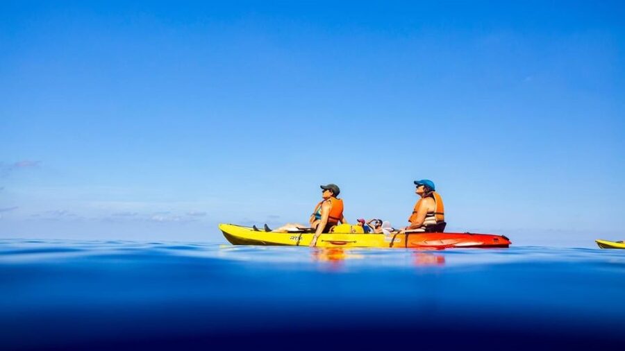 Mallorca: Explore the Island Dragonera with the kayak - The Dragonera Museum Walk: Stories You’ll Remember Longer Than Photos