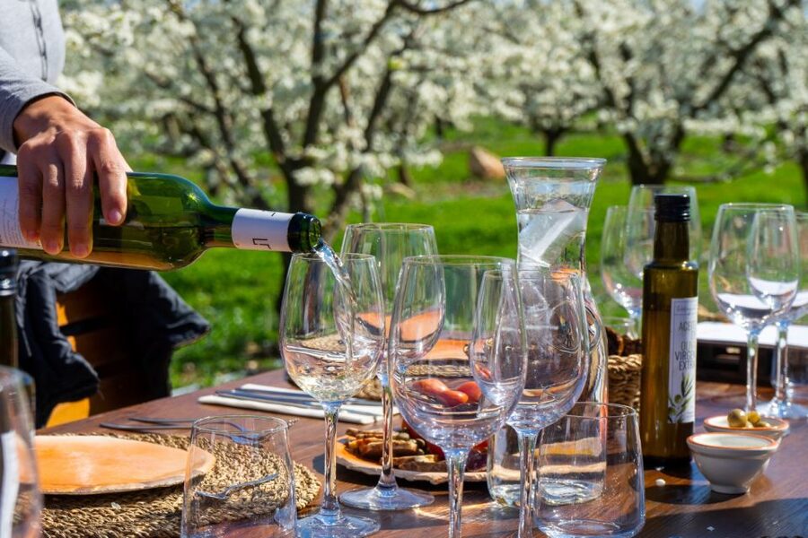Mallorca: Full-Day Winery Small Group Tour - Key moments worth showing up for