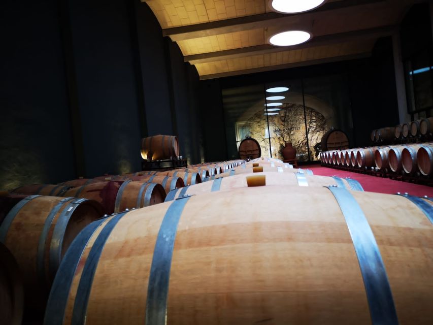 Mallorca: Full-Day Winery Small Group Tour - A Mallorca wine day that pairs island culture with cellar time