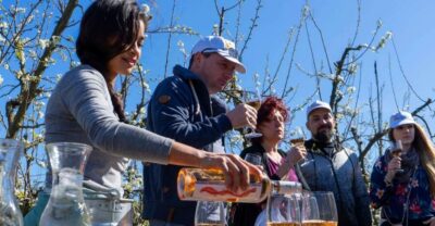 Full-Day Winery Small Group Tour