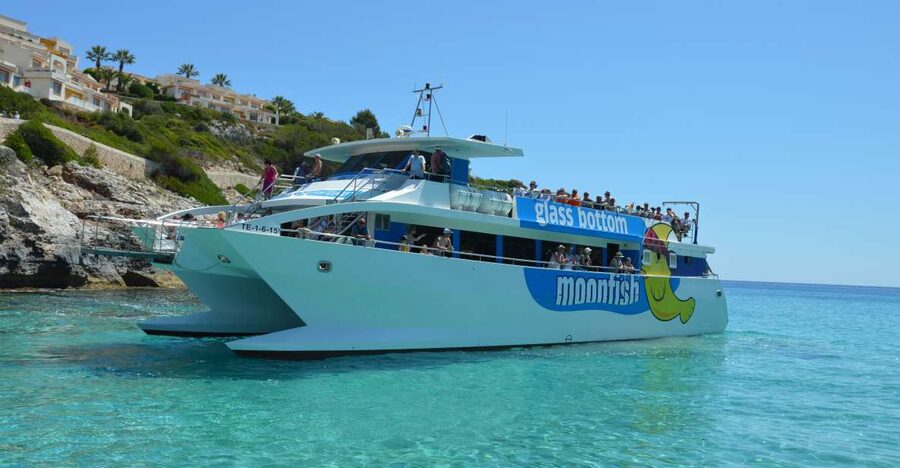 Mallorca: Glass-Bottom Catamaran Along the East Coast - Timing, sea conditions, and what the ride is really like