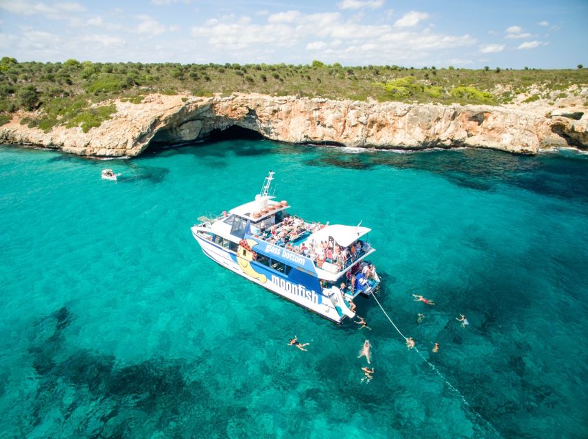 Mallorca: Glass-Bottom Catamaran Along the East Coast - The glass-bottom part: how to get the best underwater views