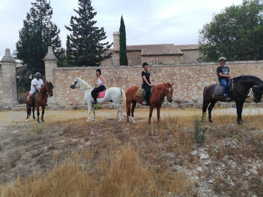 Mallorca: Guided Horseriding Tour of Randa Valley - Quick take on this Randa Valley horseriding tour