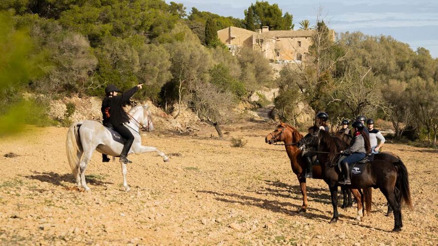 Mallorca: Guided Horseriding Tour of Randa Valley - Why Randa Valley riding feels like a real Mallorca day, not a stunt