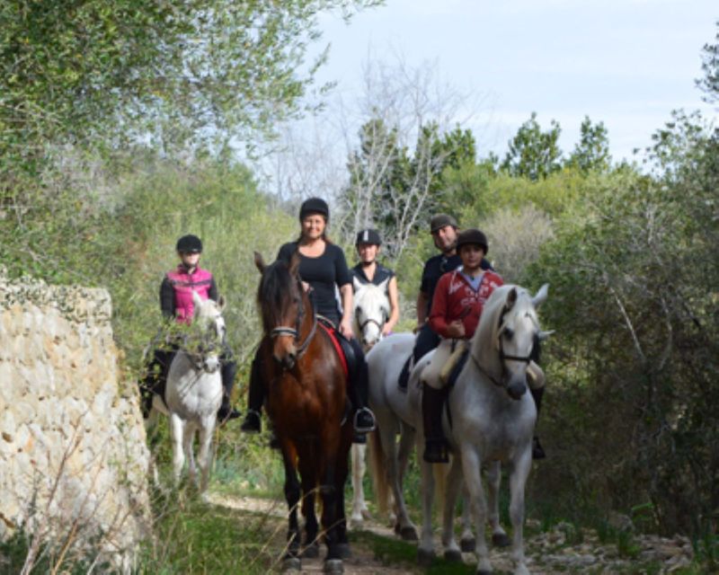 Mallorca: Guided Horseriding Tour of Randa Valley - Helmet, sand track basics, and the stable work that builds confidence