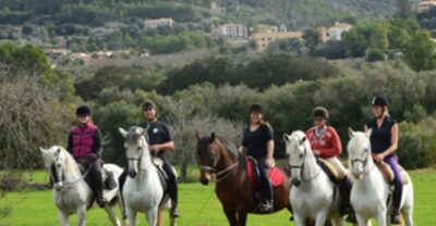 Guided Horseriding Tour of Randa Valley