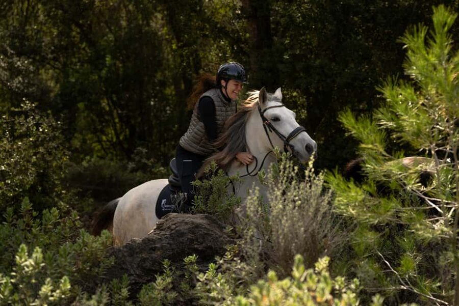 Mallorca: Guided Horseriding Tour of Randa Valley - Riding the Randa Valley: meadows, forests, mountains, and your pace