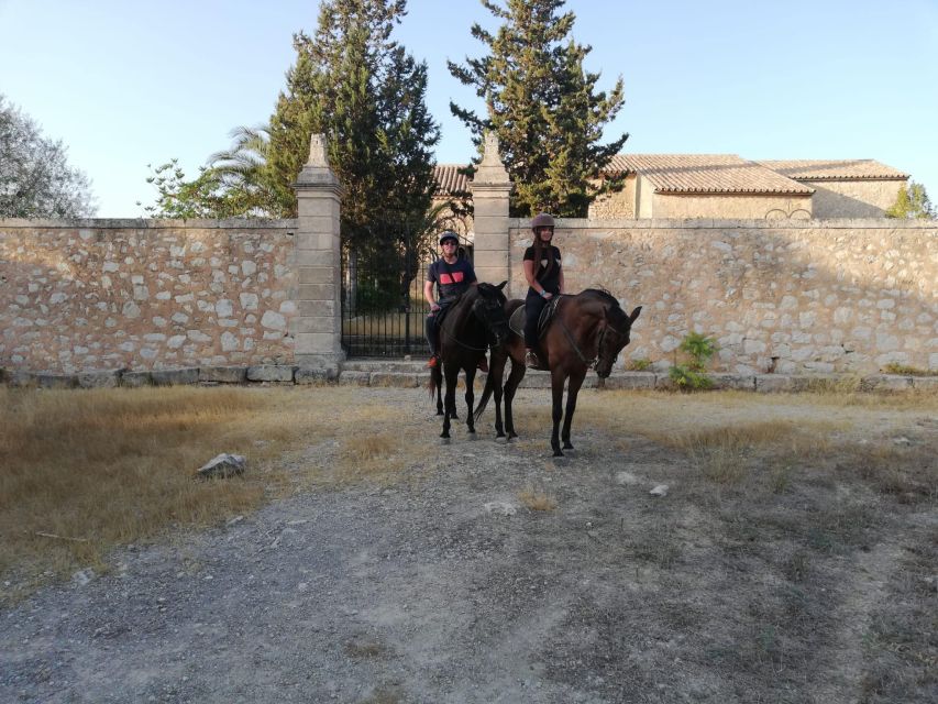 Mallorca: Guided Horseriding Tour of Randa Valley - After the ride: refreshments, instructor photos, and calming down with the horses
