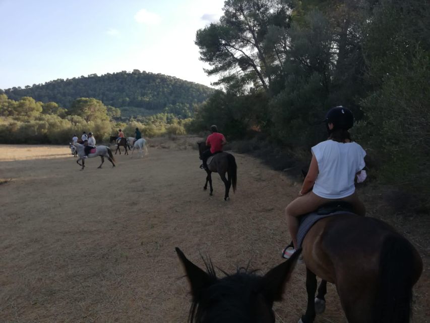 Mallorca: Guided Horseriding Tour of Randa Valley - Practical tips: what to wear, what not to bring, and how to have a smoother ride