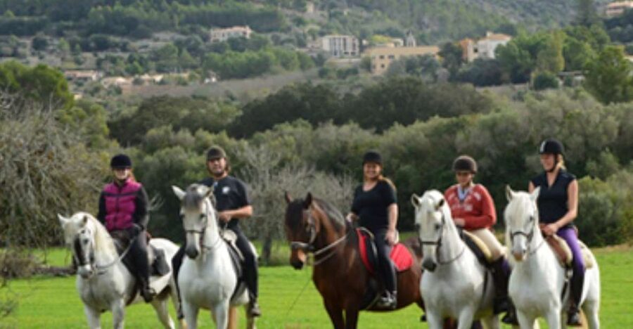 Mallorca: Guided Horseriding Tour of Randa Valley - Meeting at Mallorca Horses, then getting matched to your mount