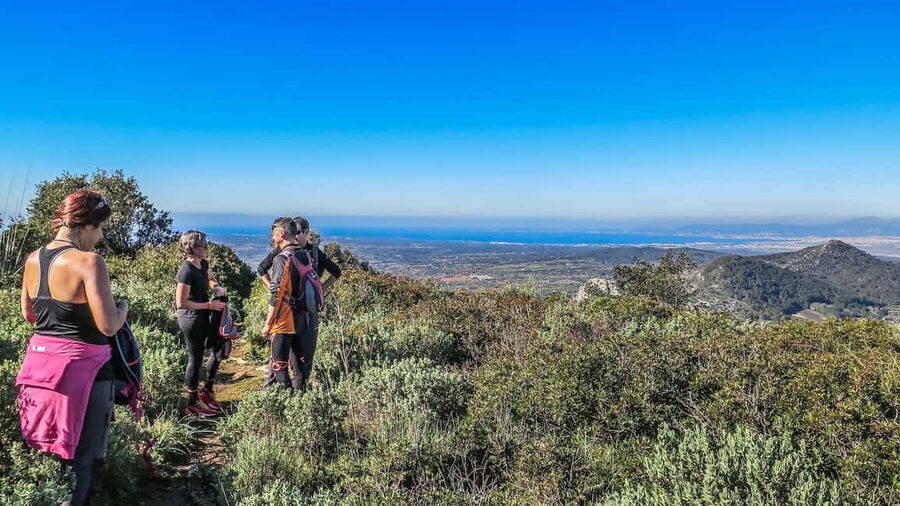 Mallorca hiking tour "Castell d'Alaró" - From Playa de Palma to the trailhead, the easy way