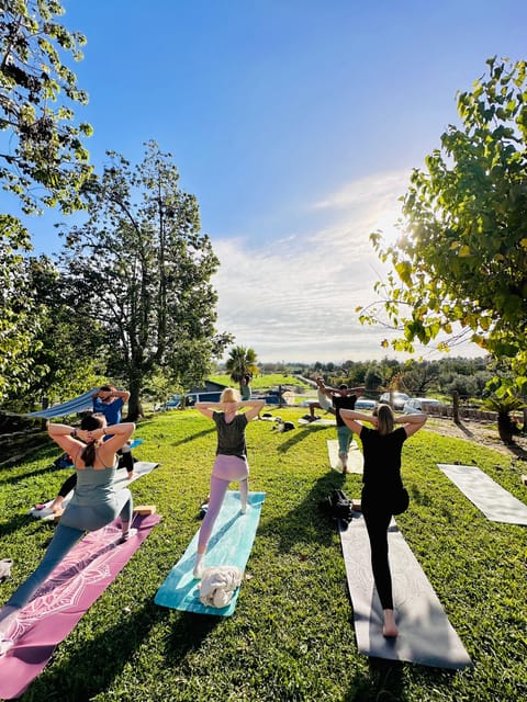Mallorca: Holistic Private Yoga and Meditation Retreat - A Half-Day Reset in Mallorca’s Tramuntana Finca Setting