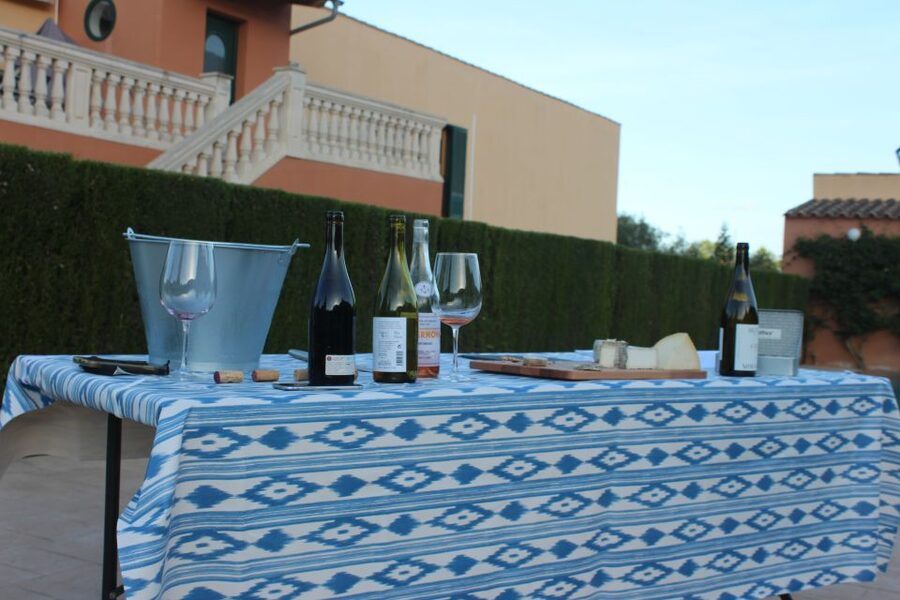 Mallorca: Horseback Riding Excursion and Wine Tasting - Key Things That Make This Tour Worth Your Time