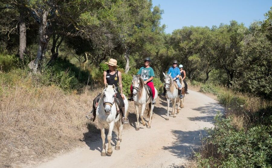 Mallorca: Horseback Riding Excursion and Wine Tasting - First Stop: Getting Set Up for the Horse Ride