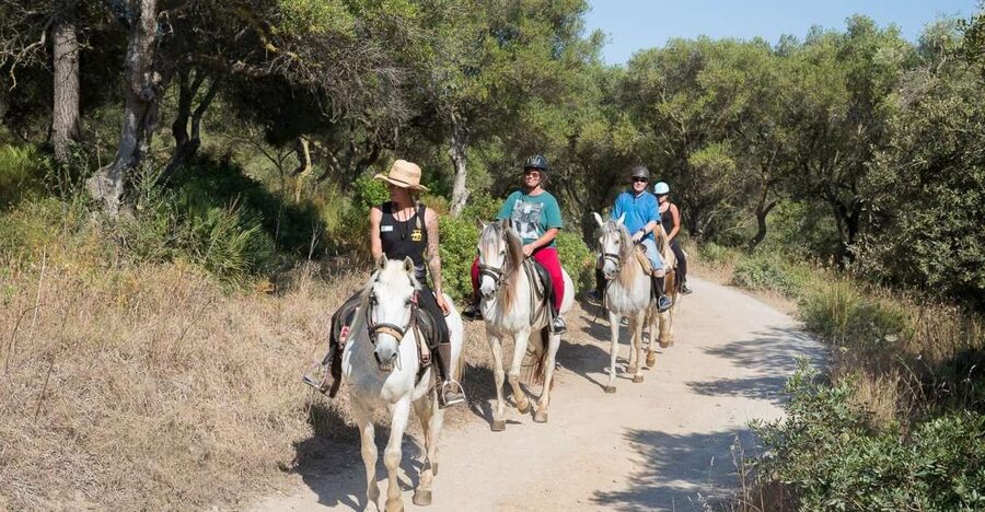 Mallorca: Horseback Riding Excursion and Wine Tasting - The Guides, the Horses, and the Safety Vibe