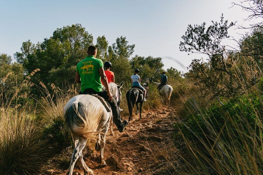 Mallorca: Horseback Riding Experience with Food Options - Weather and Comfort: When Nature Changes the Plan