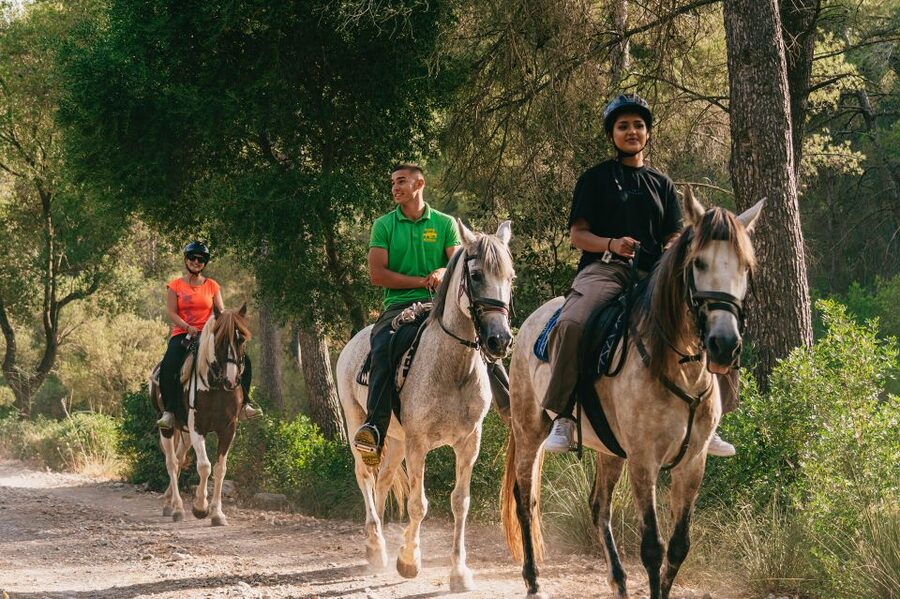 Mallorca: Horseback Riding Experience with Food Options - Price and Value: Why Around $42 Makes Sense Here